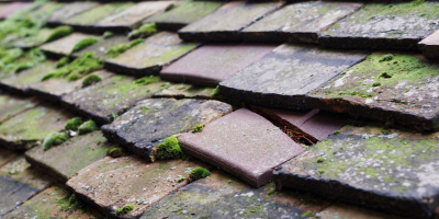 Woodvale roof repair costs